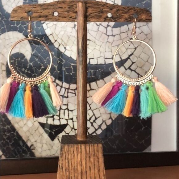 Colorful Rainbow Tassel Earrings - Picture 1 of 6